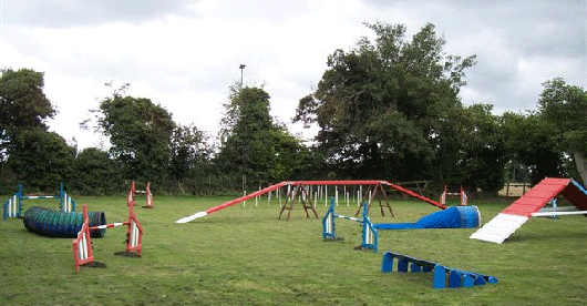 agility course view topic bark park rp open accepting chicken smoothie agility course view topic bark park rp open accepting chicken smoothie