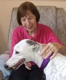 Greenhounds Bringing Comfort and Creating Smiles